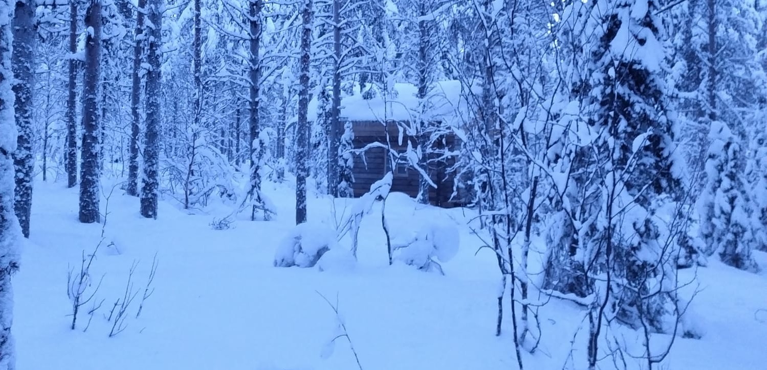 Blockhus i vinterskog i Sarvisvaara