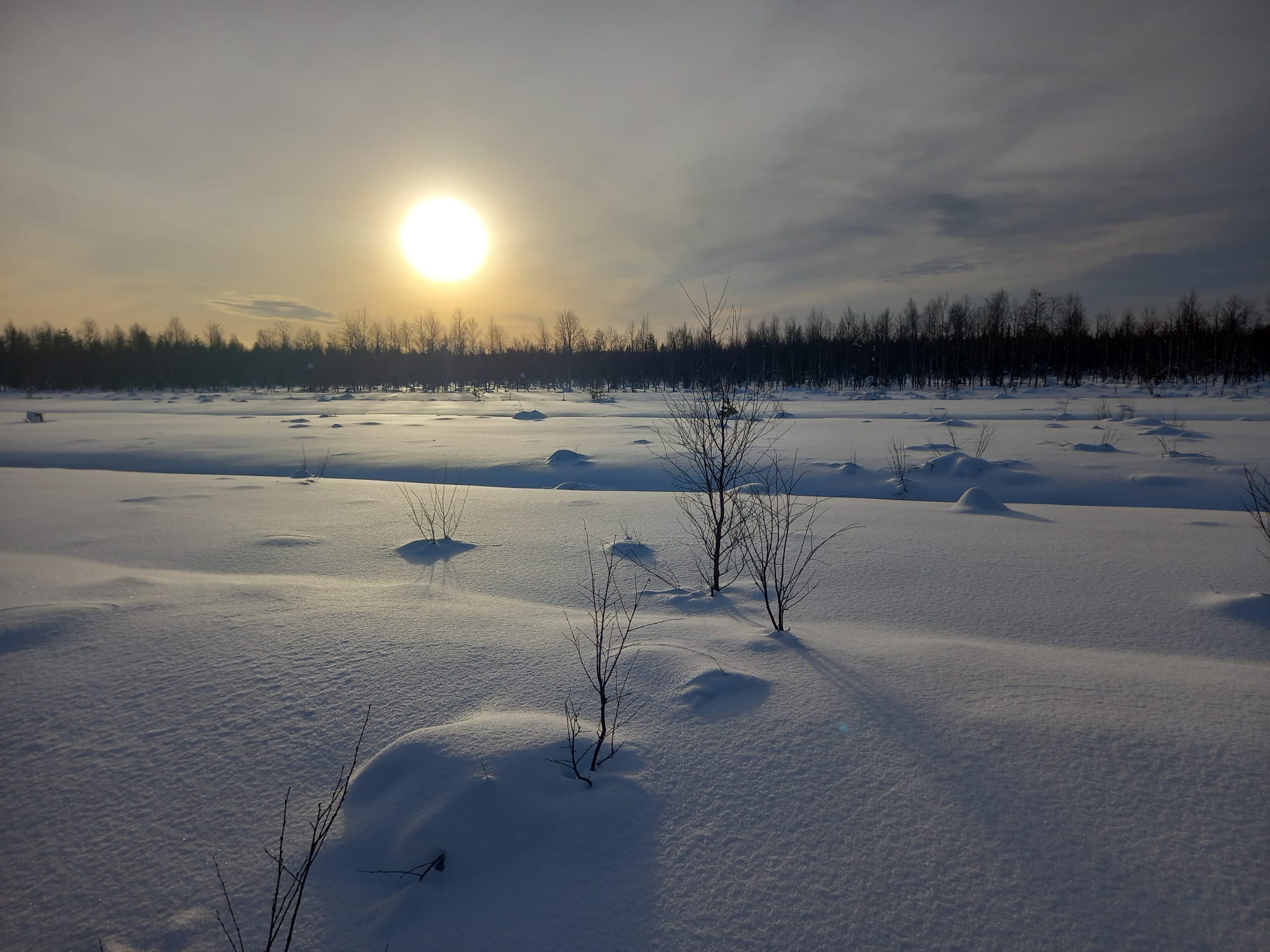 Vintersol över snötäckt landskap i norra Sverige