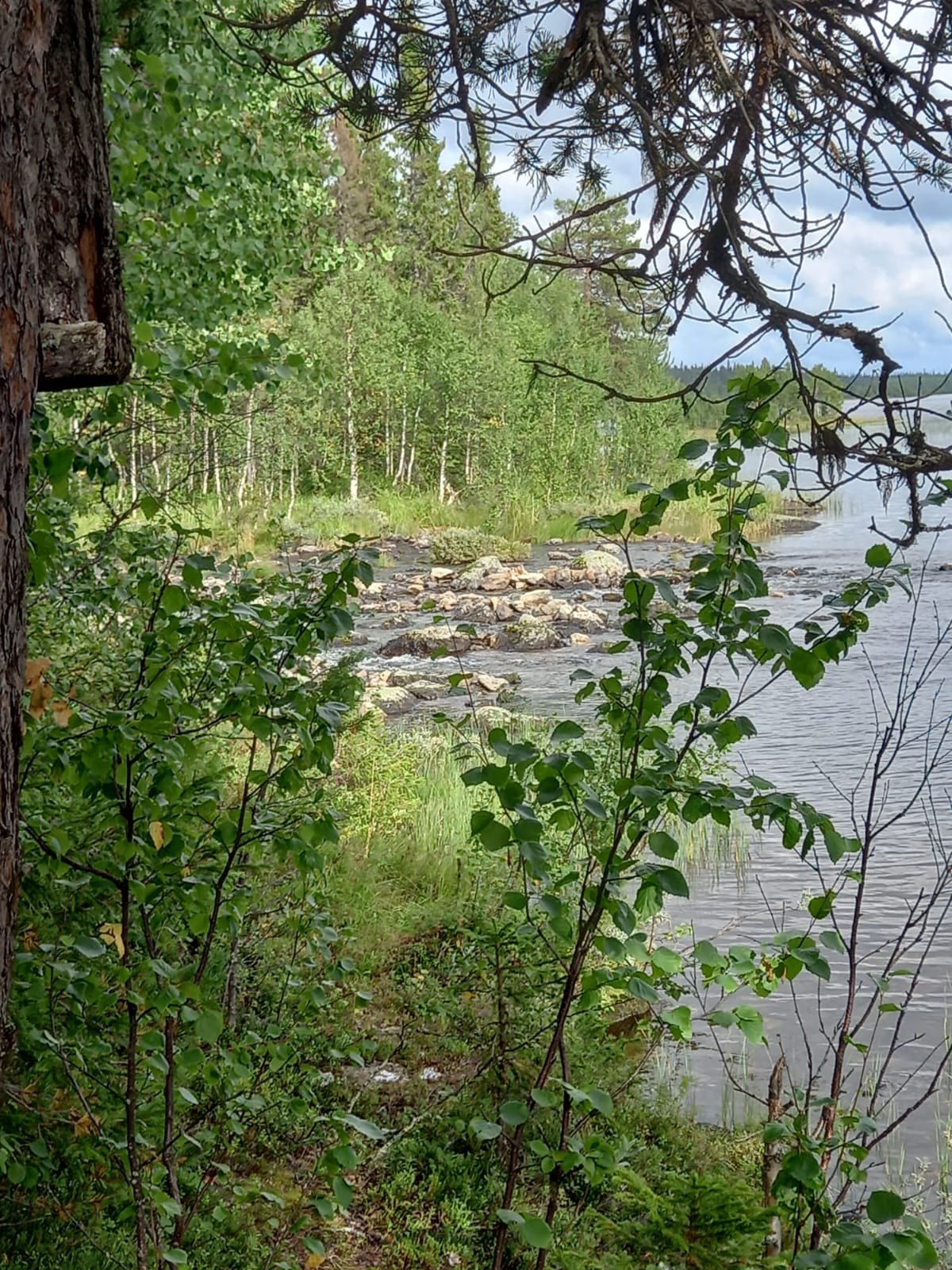 Skog och vatten nära Sarvisvaara