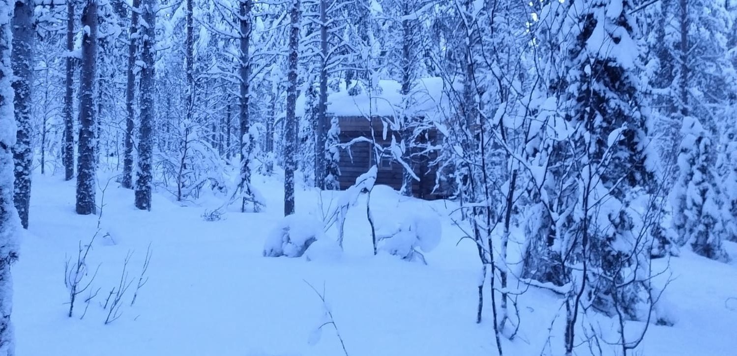 Blockhus i vinterskog i Sarvisvaara
