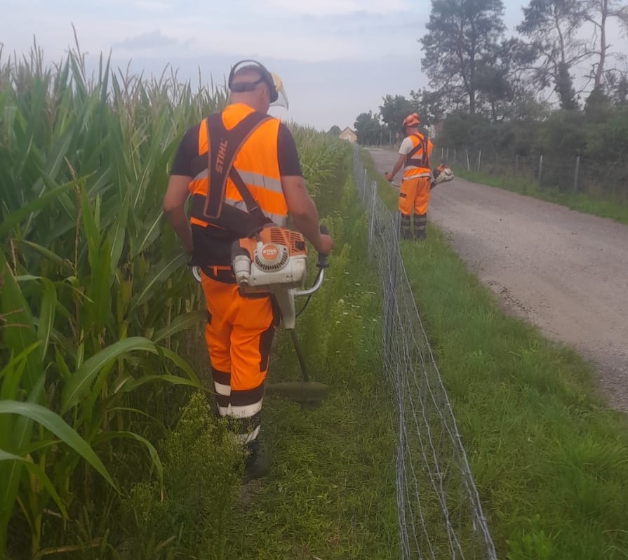 Viltstängsel och praktiskt skogsarbete